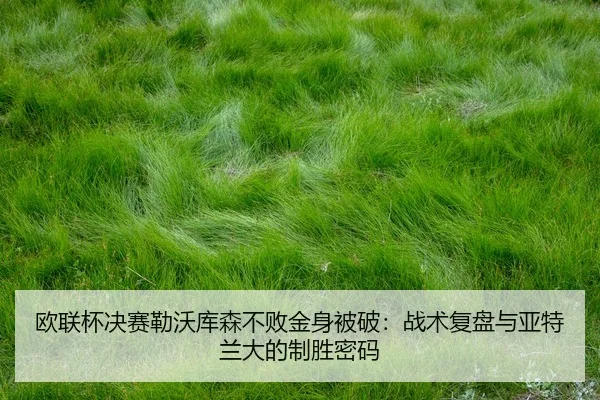 ou-lian-bei-jue-sai-lei-wo-ku-sen-bu-bai-jin-shen-bei-po-zhan-shu-fu-pan-yu-ya-te-lan-da-de-zhi-sheng-mi-ma-3-726.jpg