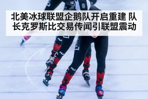 北美冰球联盟企鹅队开启重建 队长克罗斯比交易传闻引联盟震动